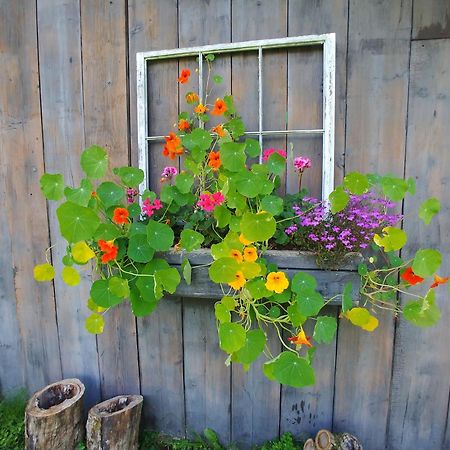 Spacious Country Retreat Close To Town And Nature, Sylvana Farm Vt Montpelier Eksteriør billede