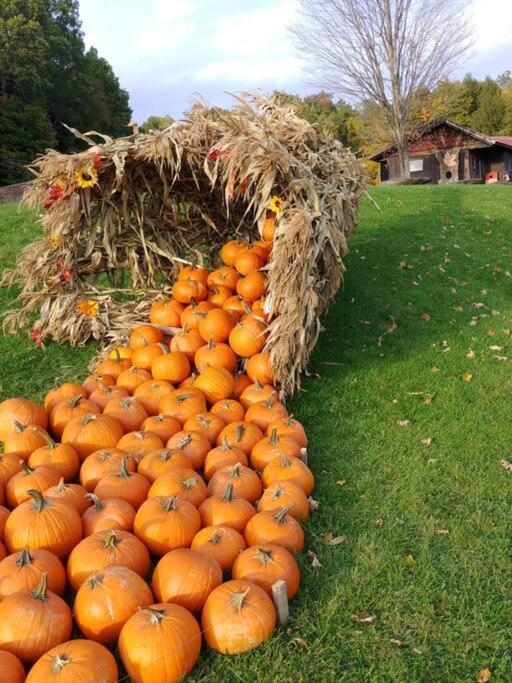 Spacious Country Retreat Close To Town And Nature, Sylvana Farm Vt Montpelier Eksteriør billede