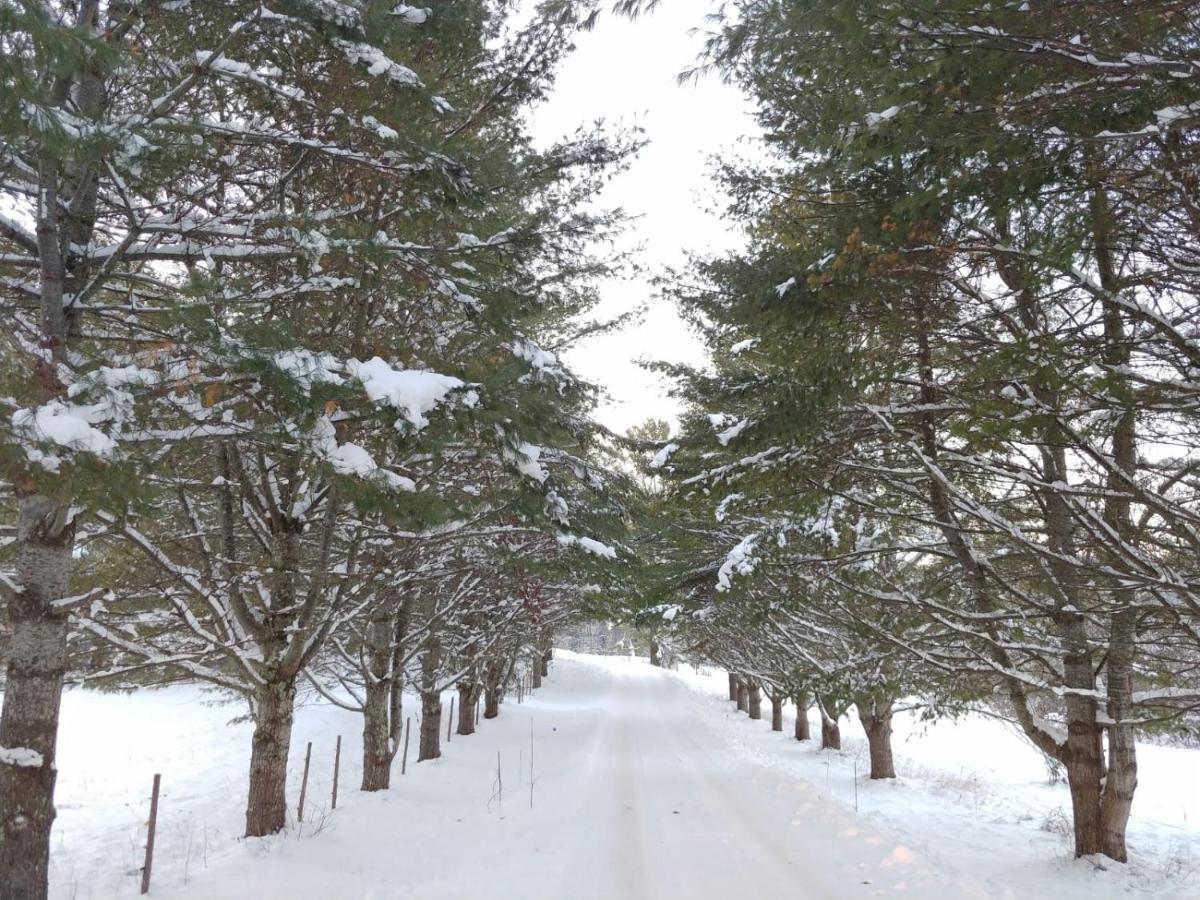 Spacious Country Retreat Close To Town And Nature, Sylvana Farm Vt Montpelier Eksteriør billede