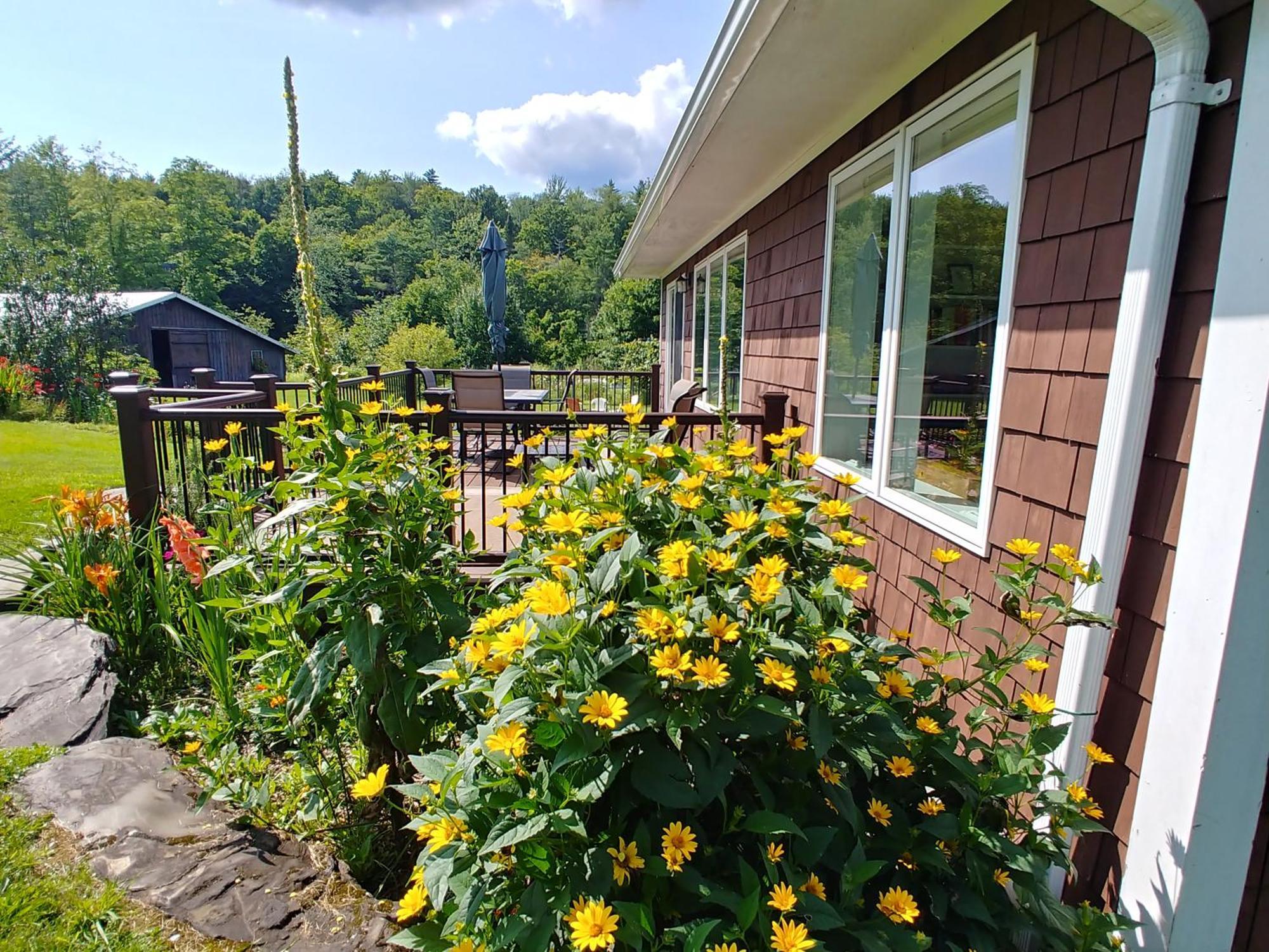 Spacious Country Retreat Close To Town And Nature, Sylvana Farm Vt Montpelier Eksteriør billede