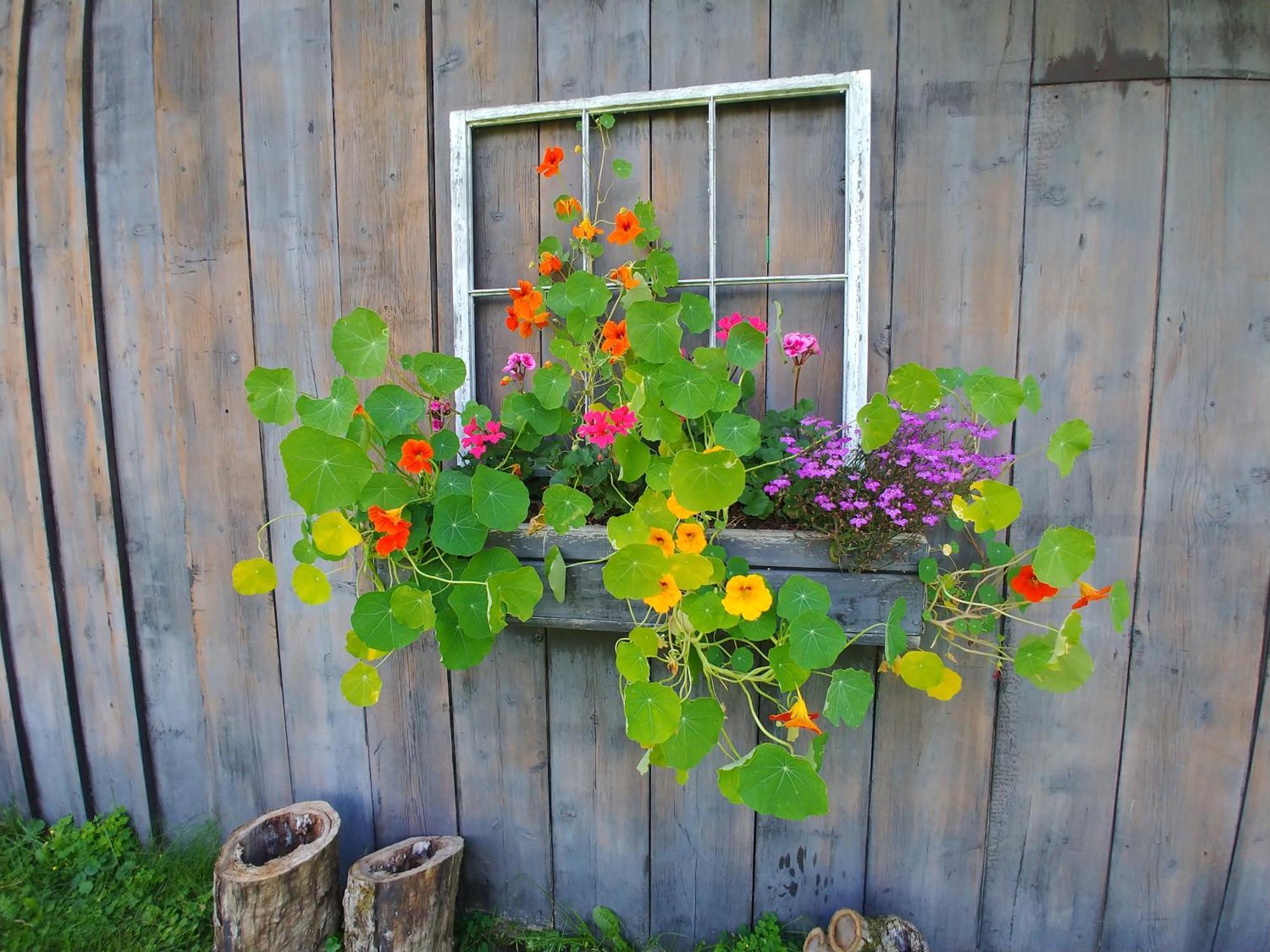Spacious Country Retreat Close To Town And Nature, Sylvana Farm Vt Montpelier Eksteriør billede